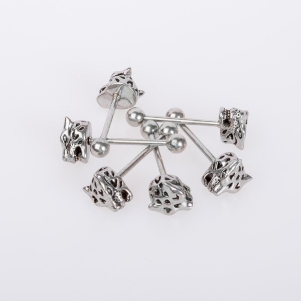 Piercing Dİl