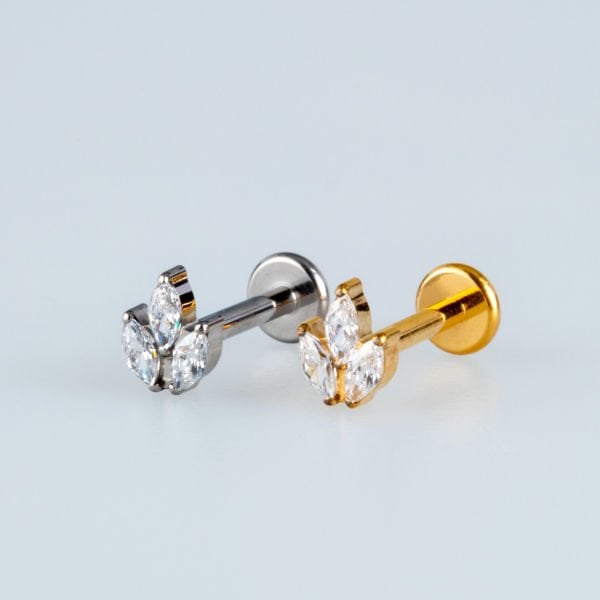 Piercing Titanium Tragus