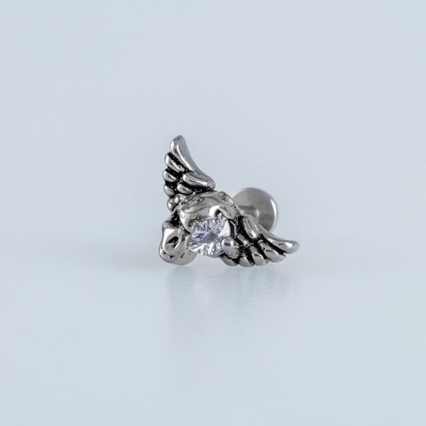 Piercing Çelik Tragus Kuru Kafa