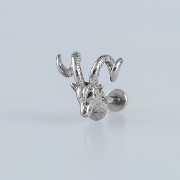 Piercing Çelik Tragus Koç