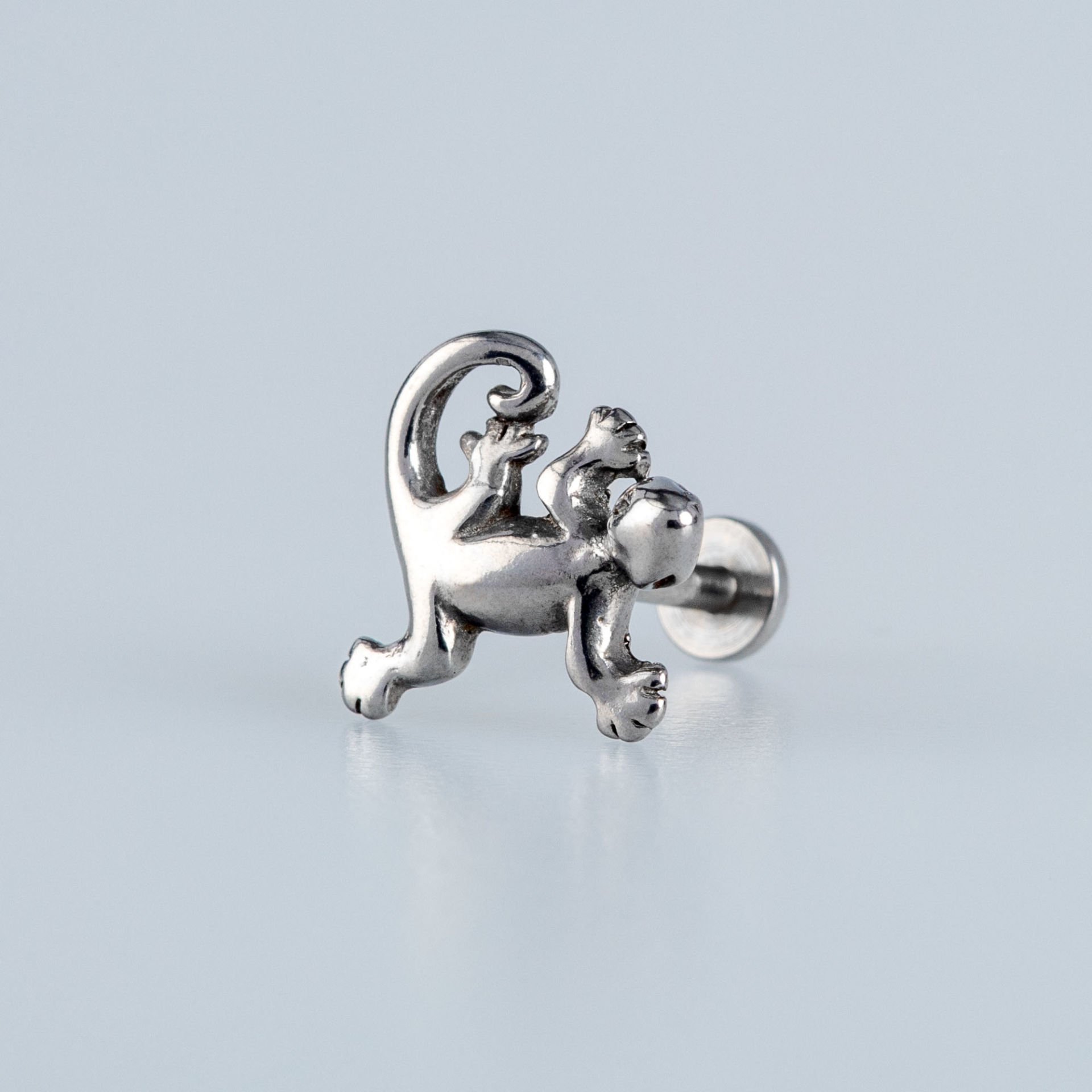 Piercing Çelik Tragus Kertenkele