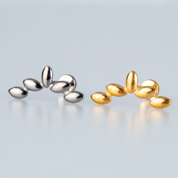 Piercing Titanium Tragus