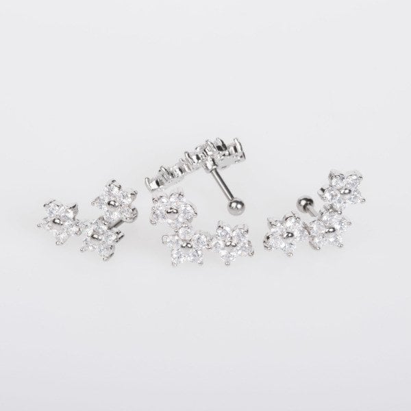 ثقب الزنمة التيتانيوم