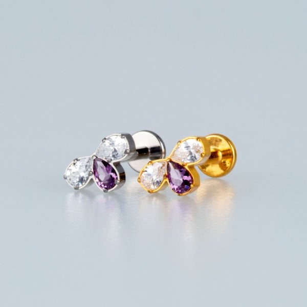 Piercing Titanyum Tragus Arı
