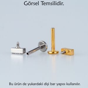 Piercing G23 Titanyum Tragus Helix Kelebek