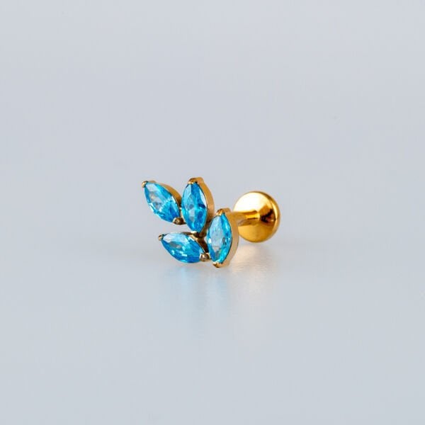 Piercing Titanyum Tragus Yaprak