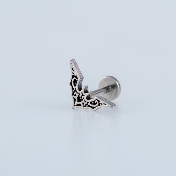 Piercing Tragus Yarasa