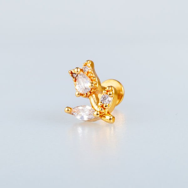 Piercing Tragus Lale