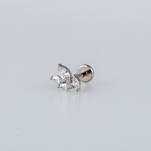 Piercing Titanyum Tragus Yaprak