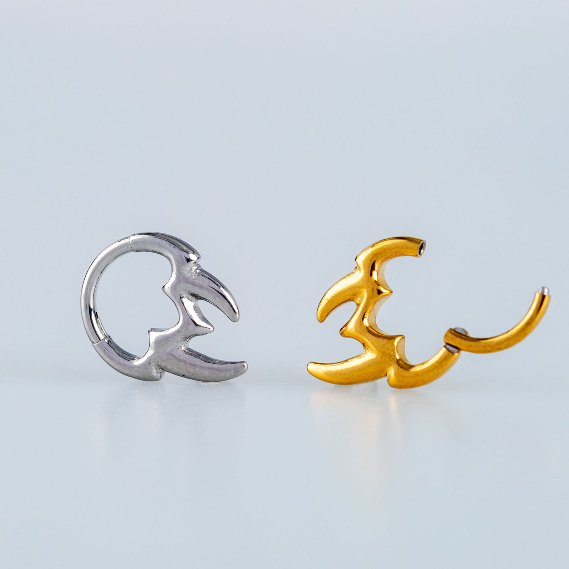 Ring Piercing Segment