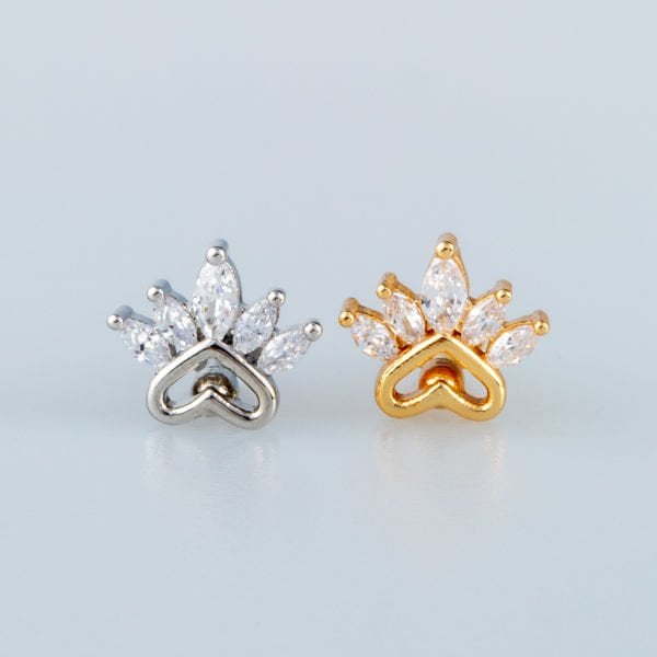 Piercing Tragus Pati