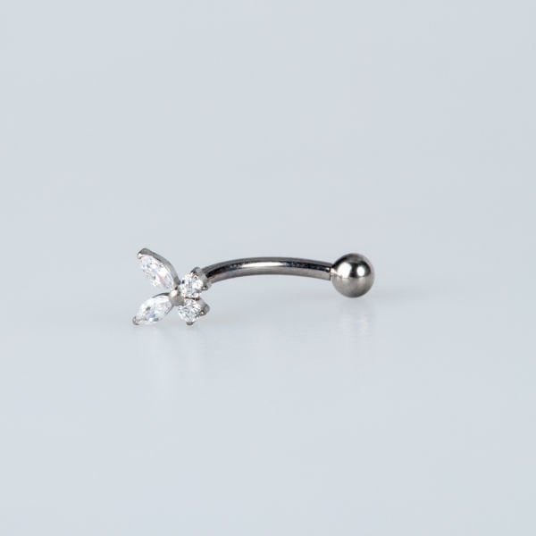 Piercing TitaniumButterfly Rook