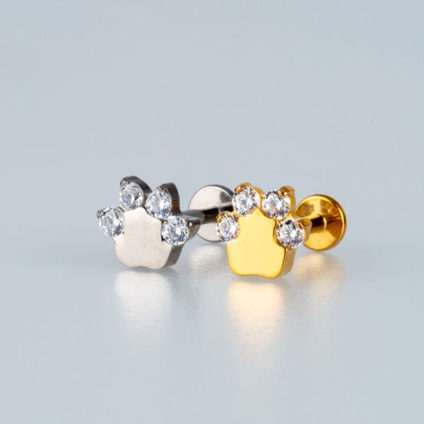 Piercing Titanium Tragus Pati