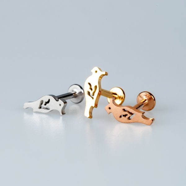 Piercing Çelik Tragus Kuş