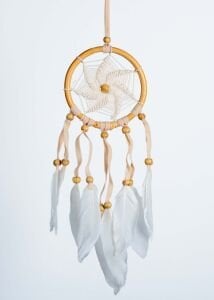 Dreamcatcher 9X25