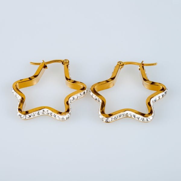 Steel Earring Pair