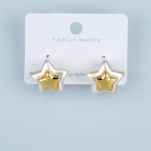 Toptan Yıldızlı Çift Renk Butik Küpe
