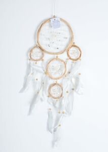 Dreamcatcher 16X60