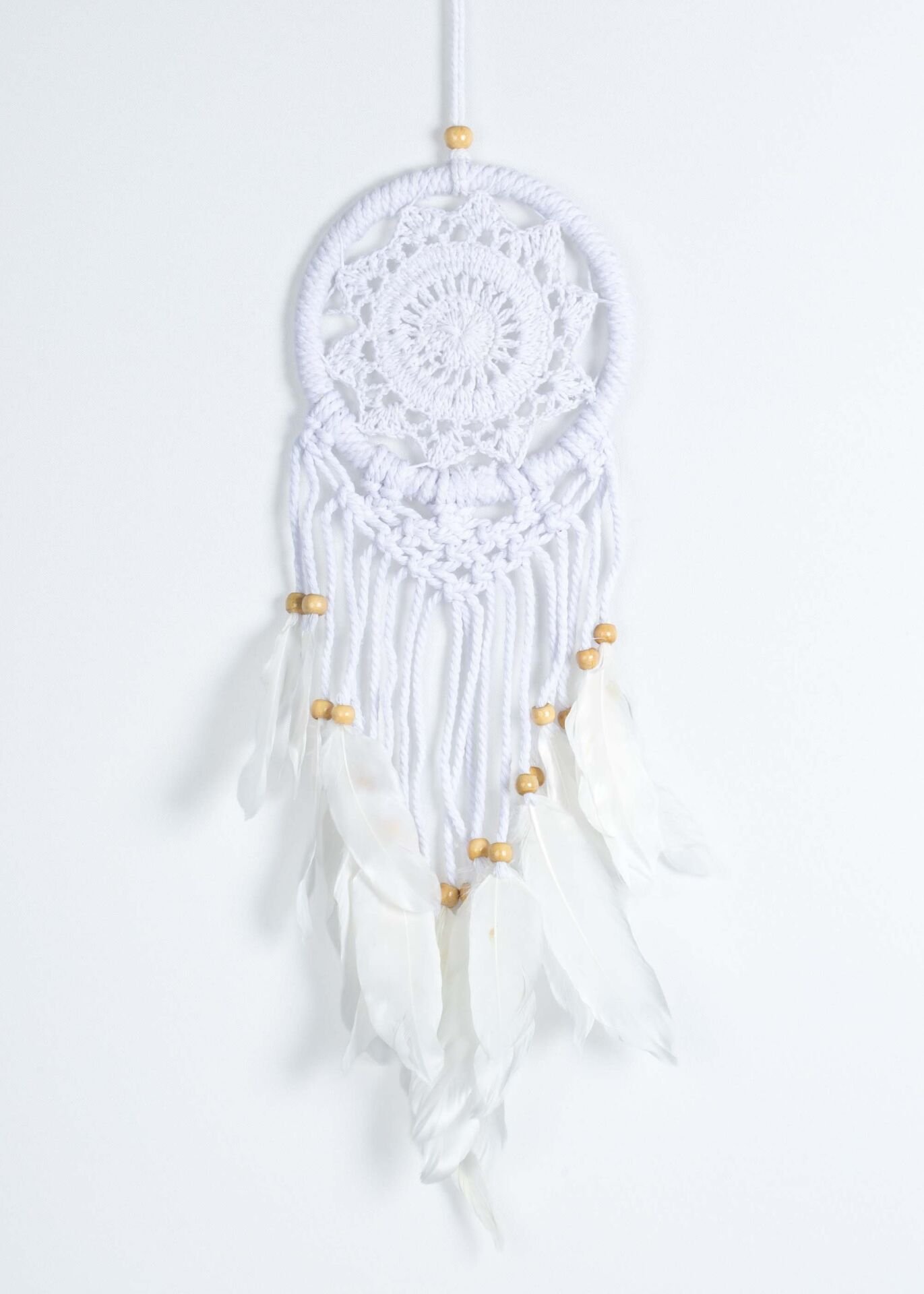 Dreamcatcher 12X45