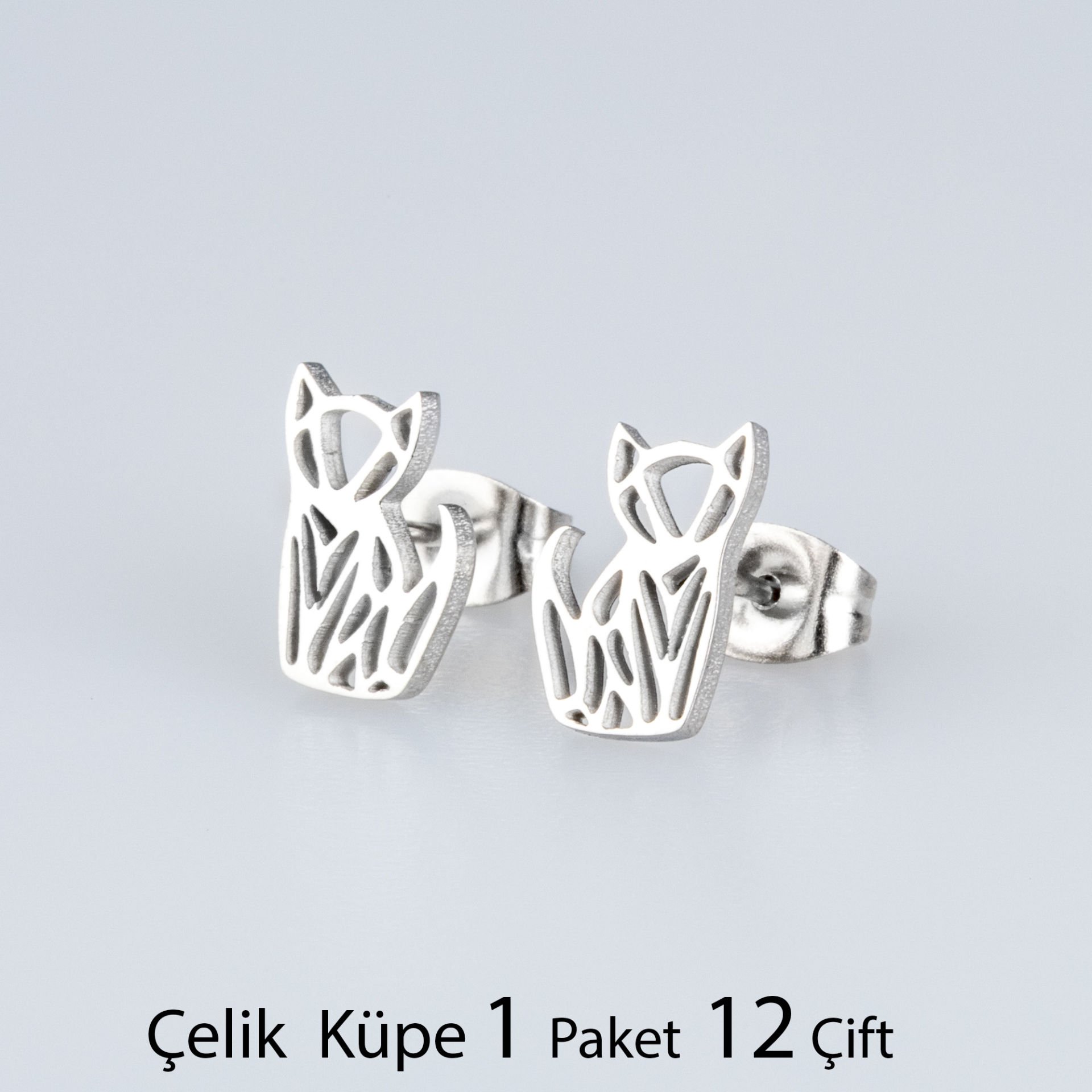 Çelik Küpe Kedi Paket