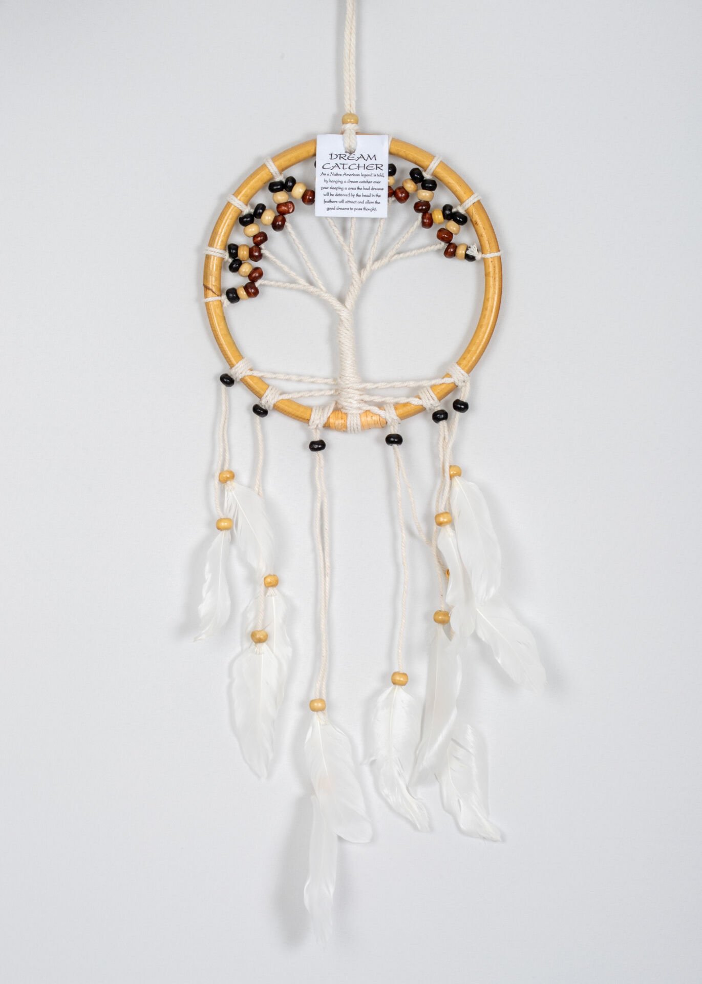Dreamcatcher 16X50