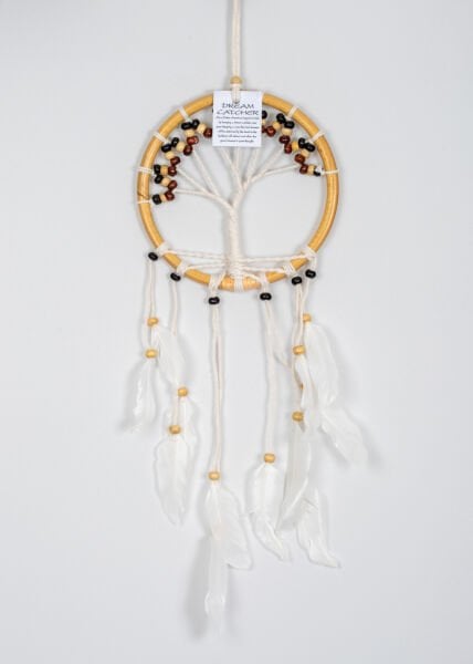 Dreamcatcher 16X50