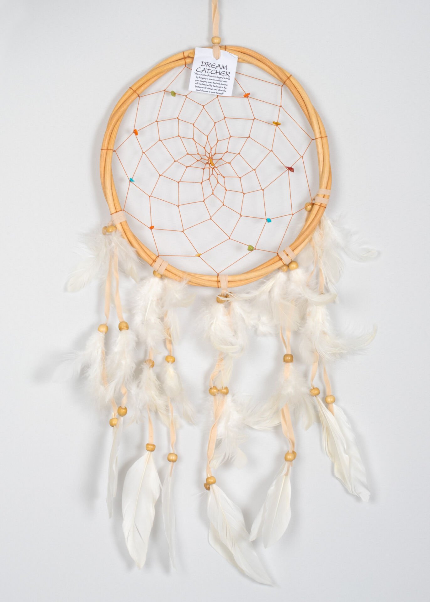 Dreamcatcher 22X50