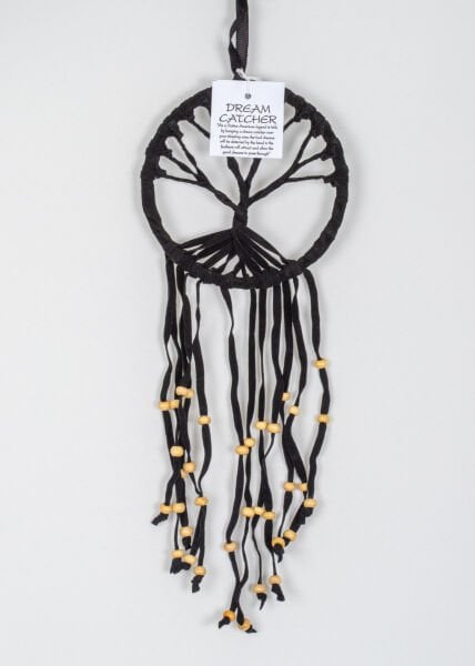Dreamcatcher 12X40