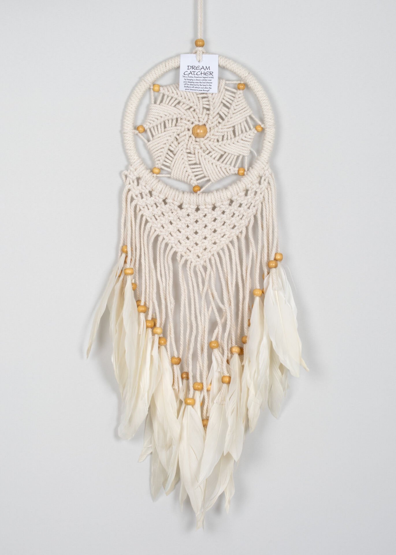 Dreamcatcher 16X50