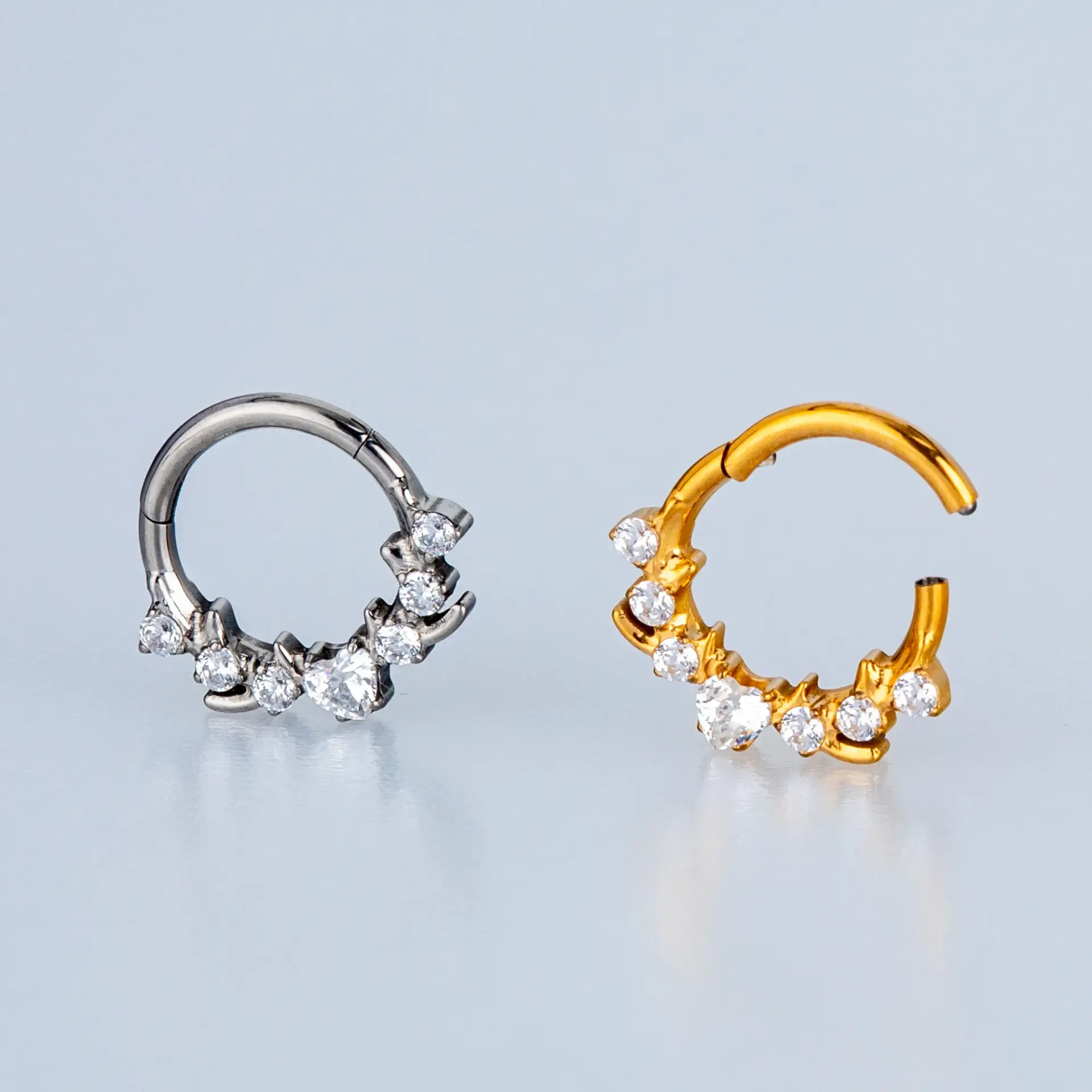 Piercing Titanyum Segment Halka