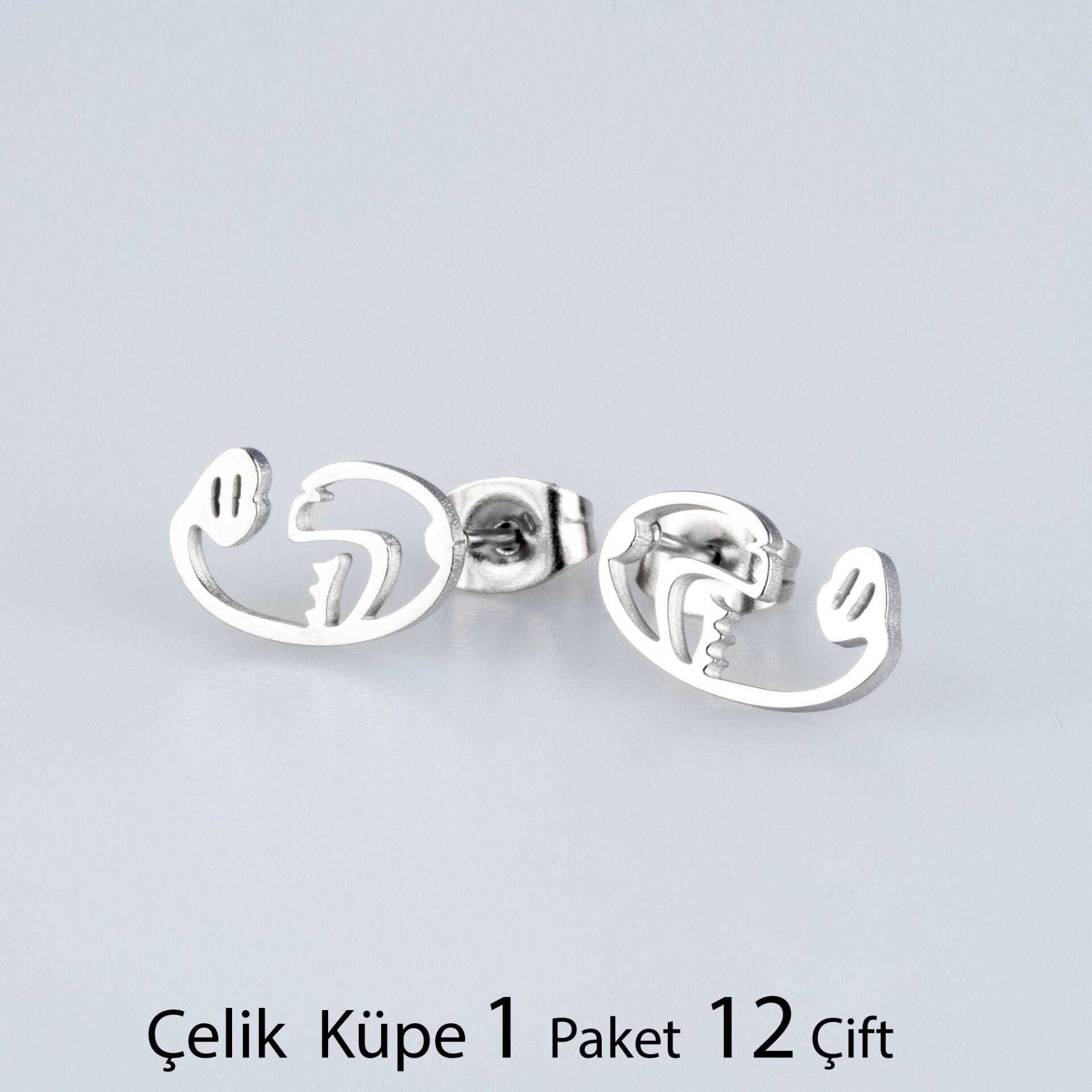 Steel Earrings Package