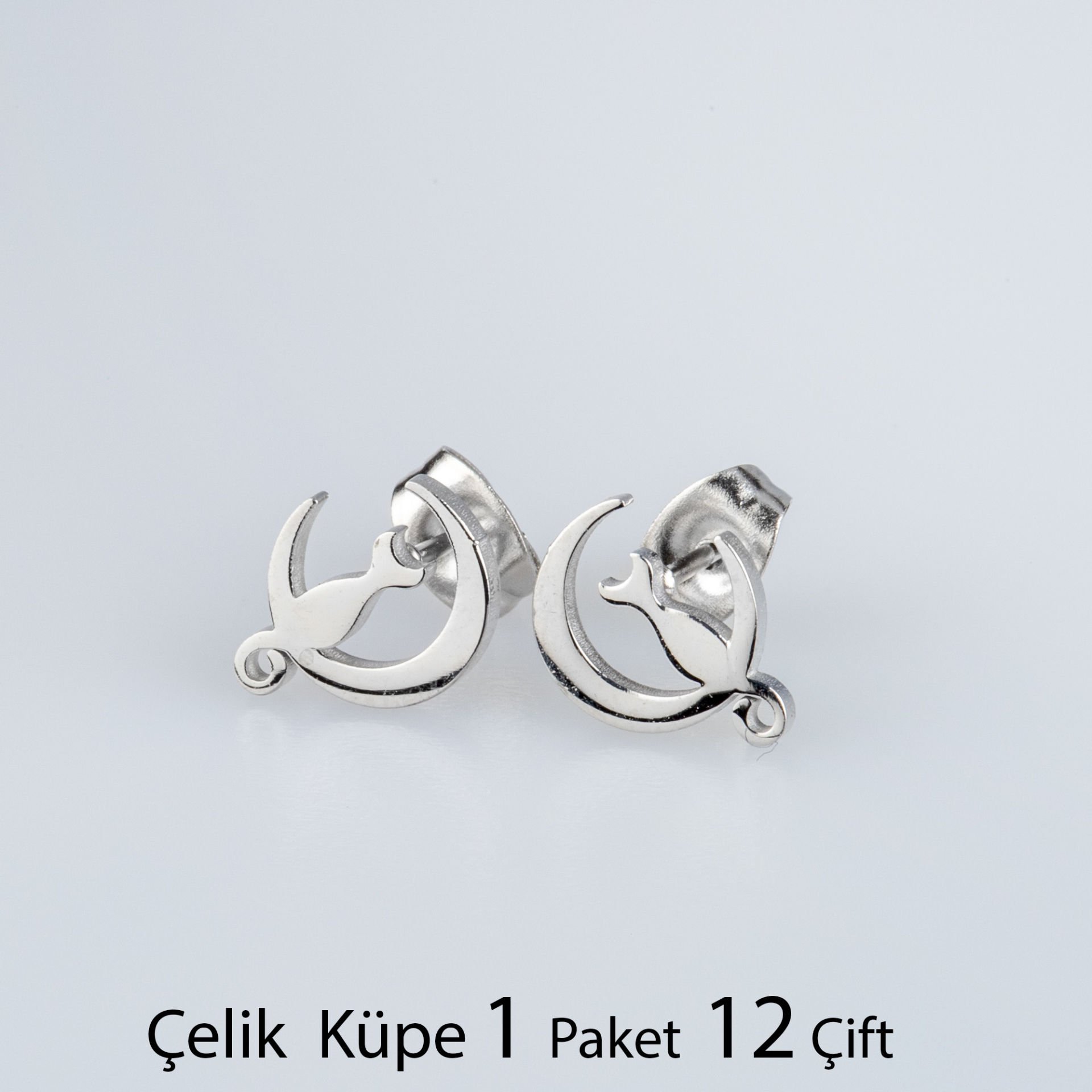Steel Earring Moon and Cat Package