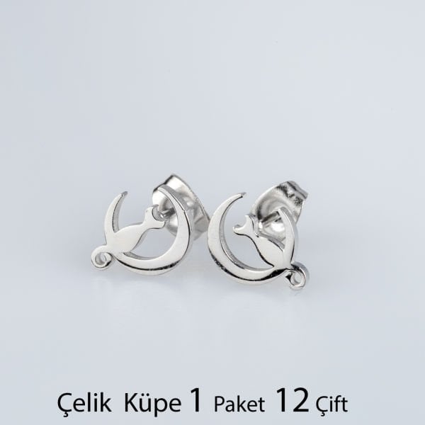 Steel Earring Moon and Cat Package