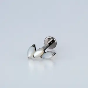 Piercing G23 Titanyum Tragus Doğal Taşlı Renk 1