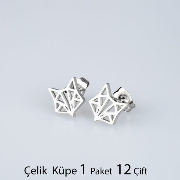 Steel Earring Amulet Package