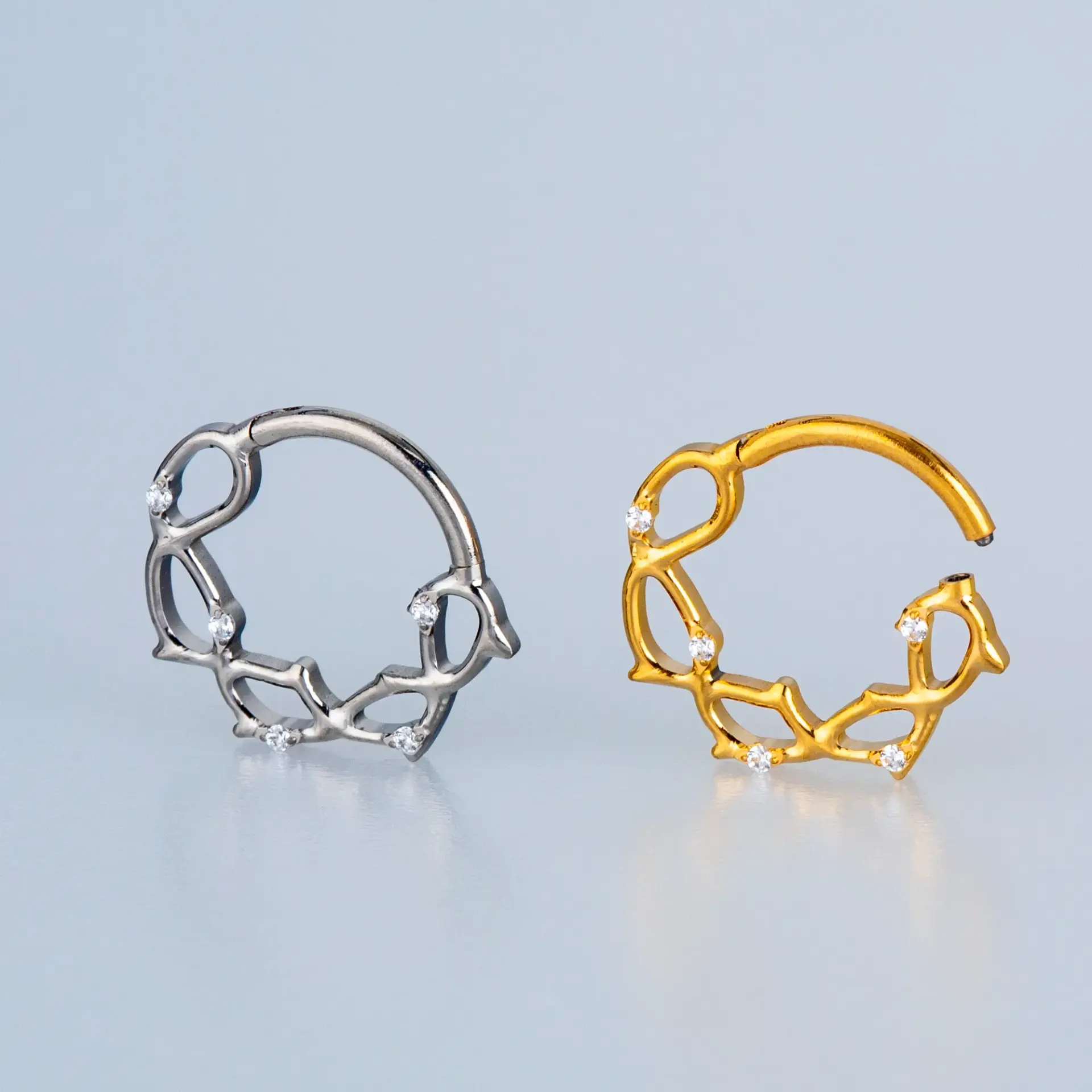 Piercing Titanyum Segment Halka