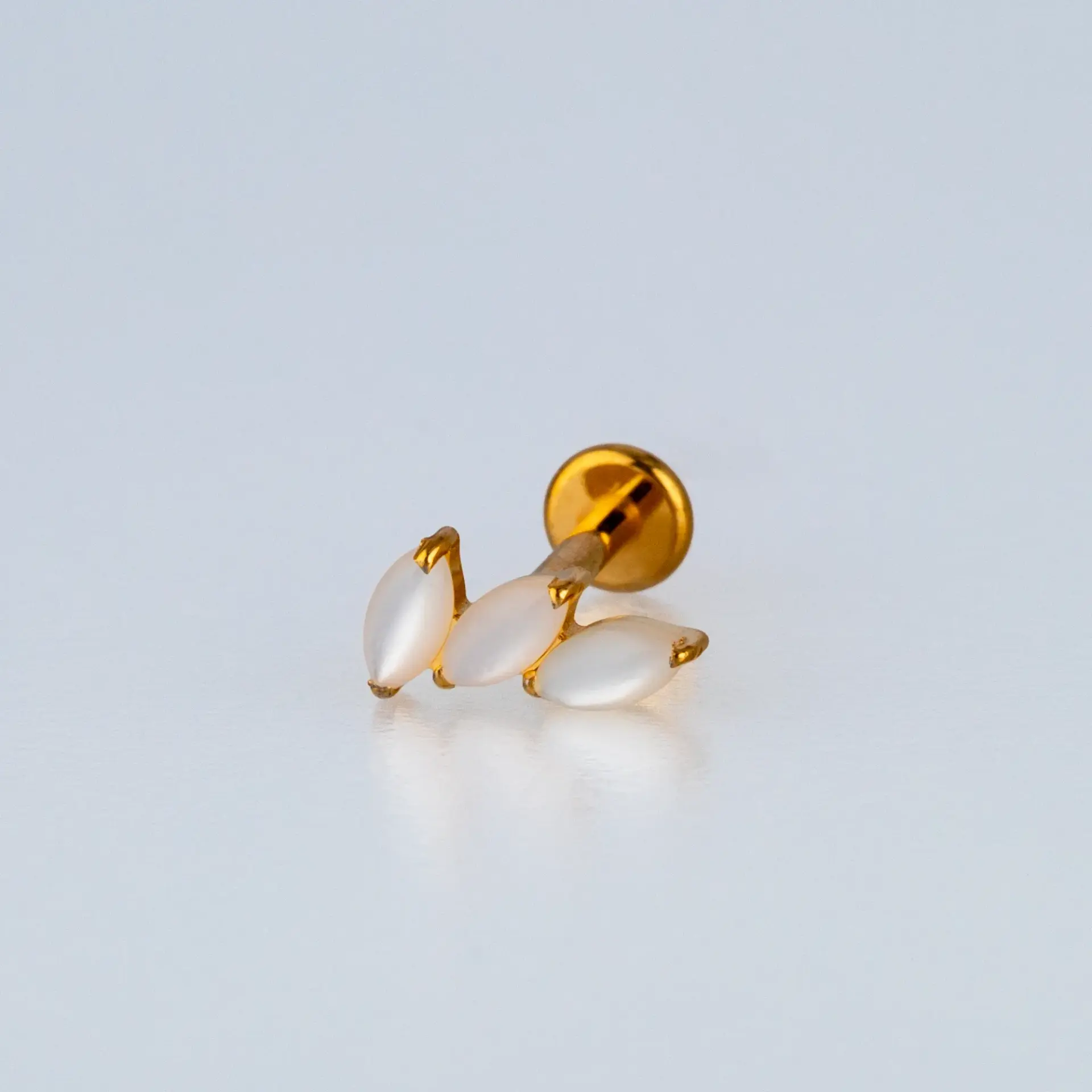 Piercing G23 Titanyum Tragus Doğal Taşlı Renk 1