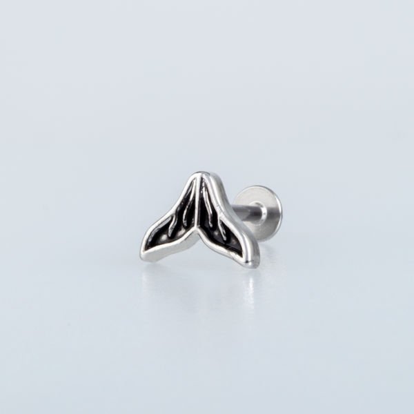 Piercing Tragus Kuyruk