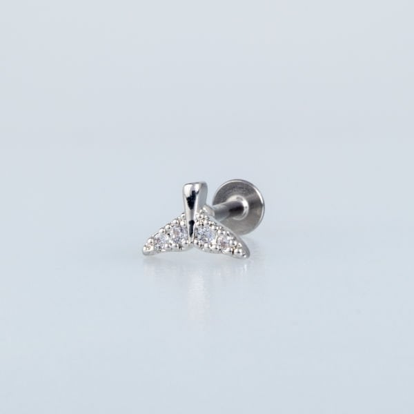 Piercing Tragus Kuyruk