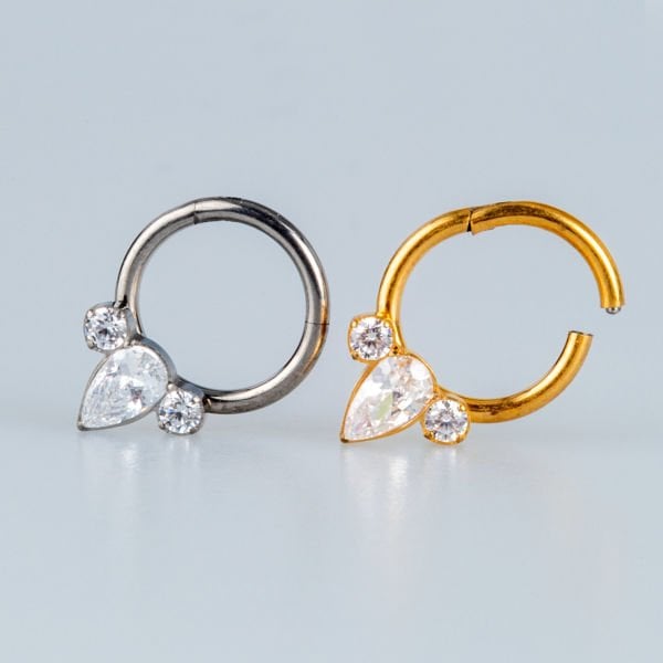 Piercing Titanium Segment Ring Drop Stone