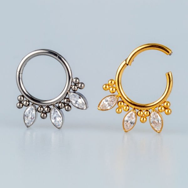 Piercing Titanium Segment Ring