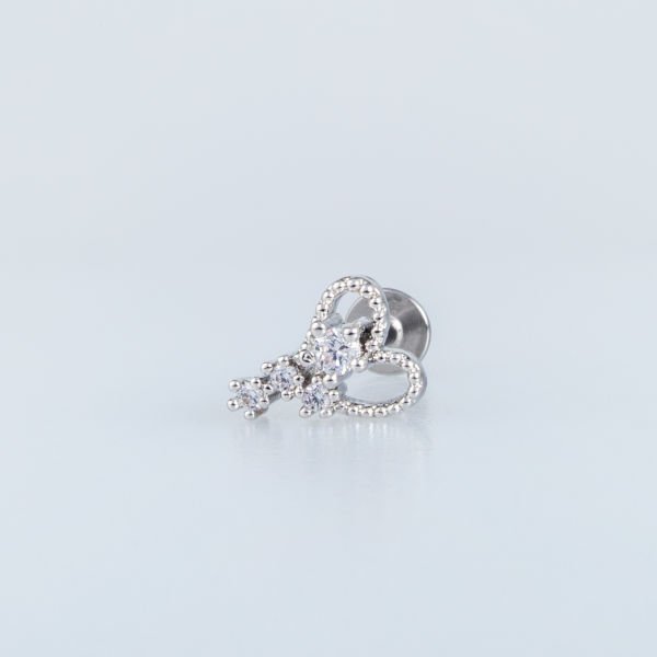 Piercing Tragus Kalp