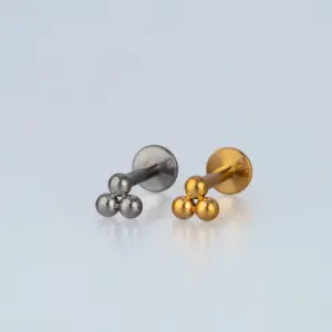 Piercing G23 Titanyum Tragus.