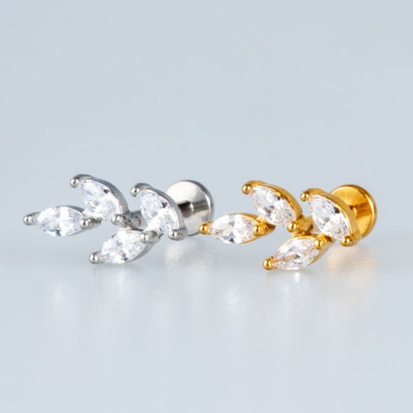 ورقة تراجوس الفولاذية الثاقبة