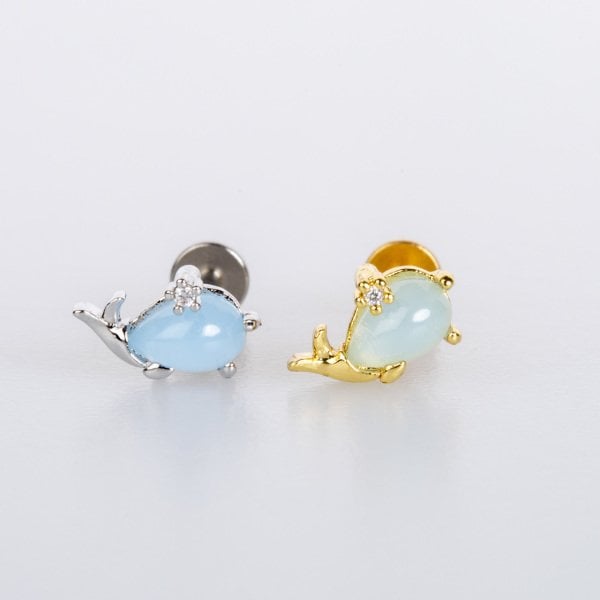 Piercing Tragus Balina