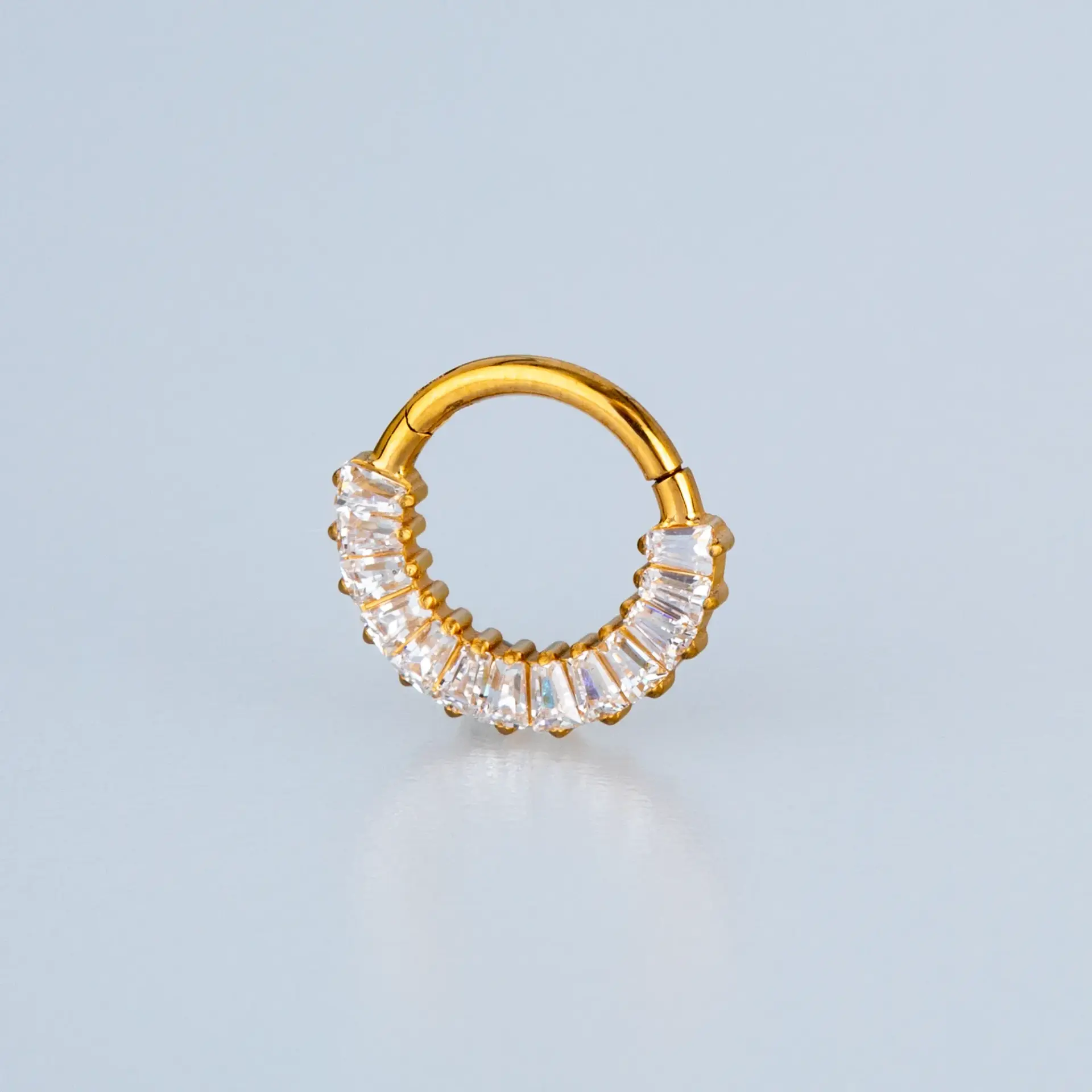 Piercing Titanyum Segment Halka