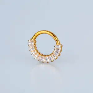 Piercing Titanyum Segment Halka