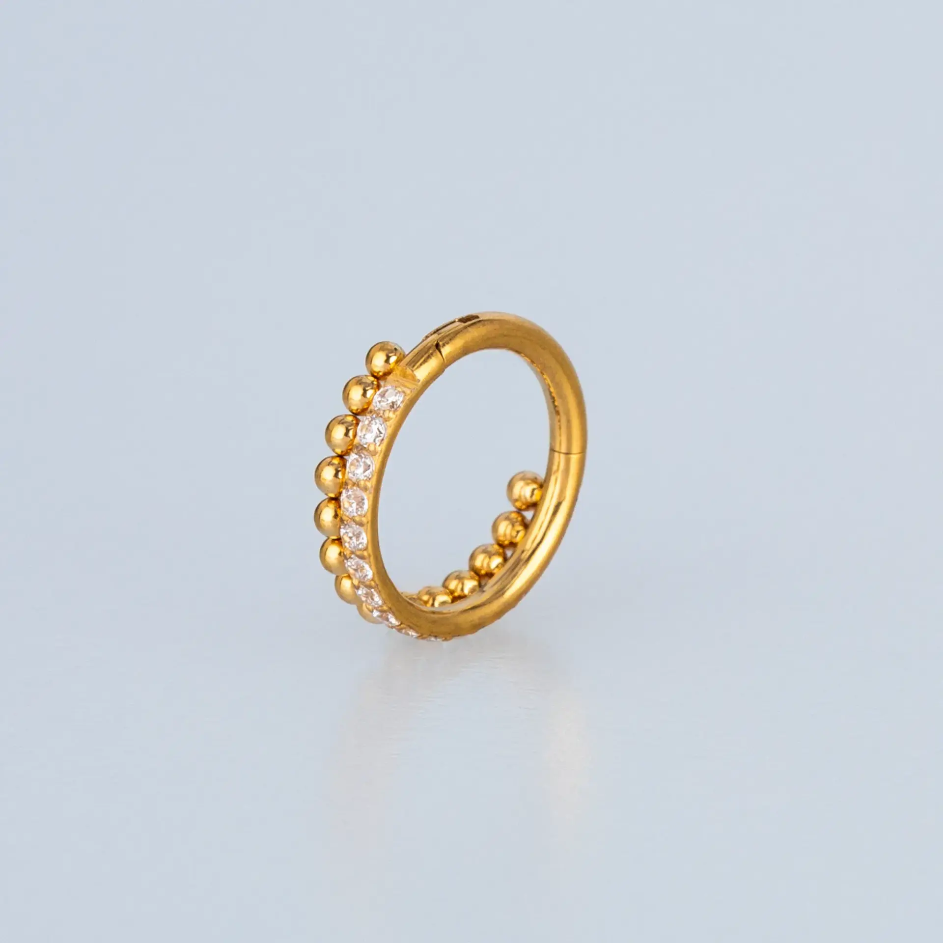 Piercing Titanyum Segment Halka