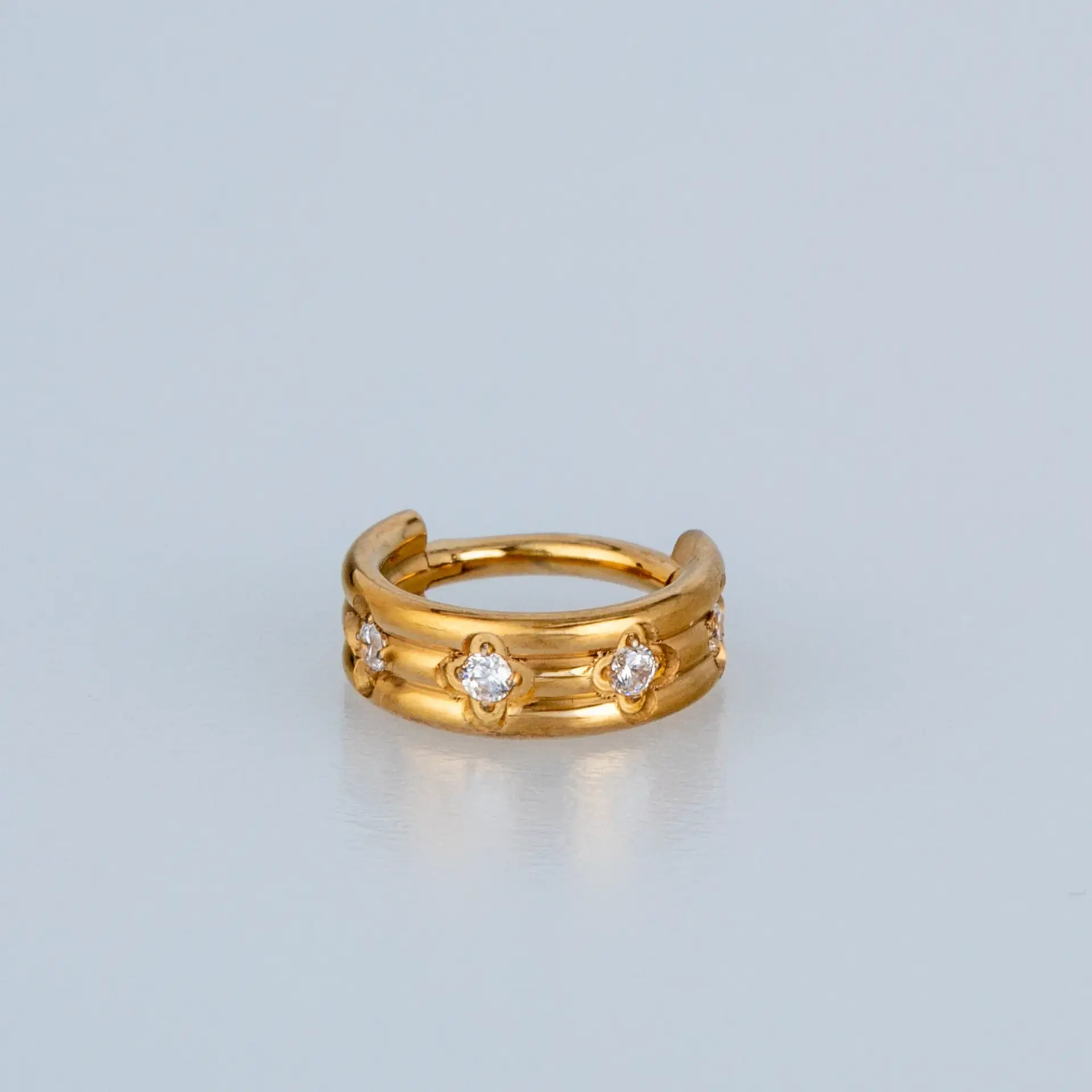 Piercing Titanyum Segment Halka