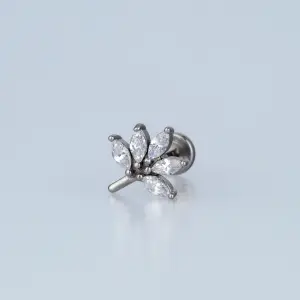 Toptan Piercing Çelik Tragus Yaprak